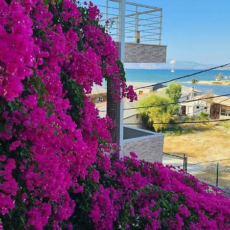 Begonvil Otel Çeşme 外观 照片