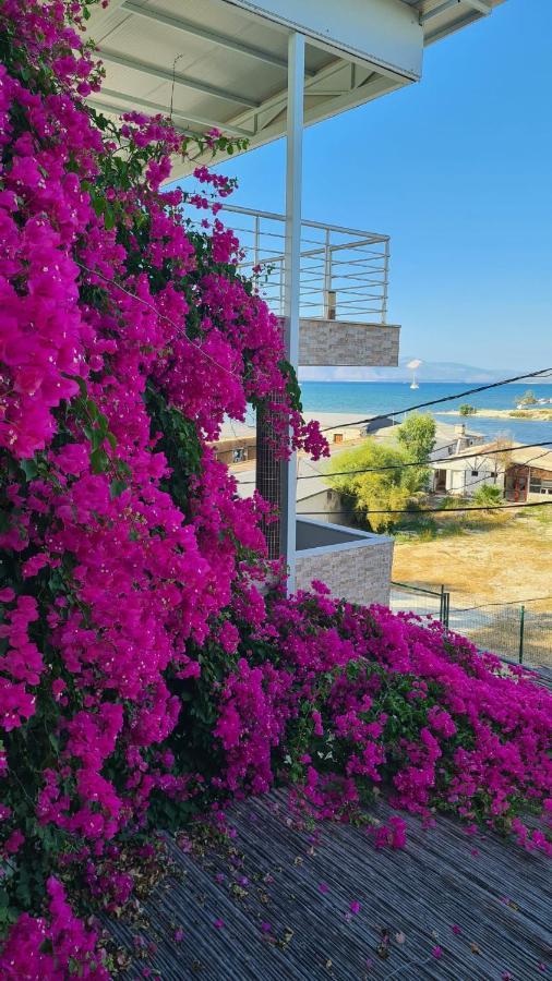 Begonvil Otel Çeşme 外观 照片