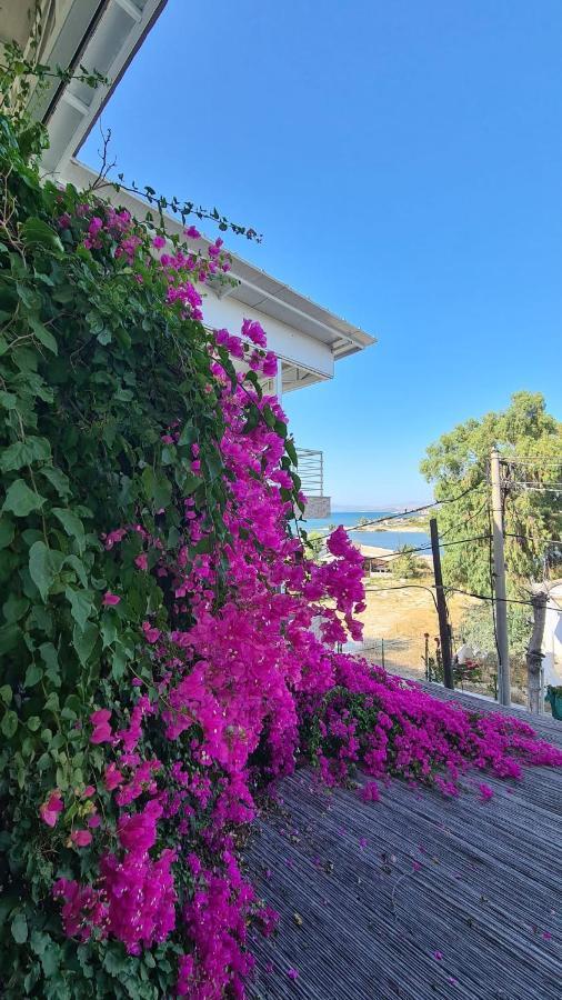 Begonvil Otel Çeşme 外观 照片